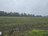 ? Parduodamas 1 Ha Sklypas Verslui Baisogaloje - nuotraukos Nr. 3