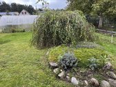 Parduodamas jaukus ir išskirtinis medinis - nuotraukos Nr. 39