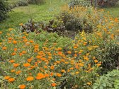 Parduodamas jaukus ir išskirtinis medinis - nuotraukos Nr. 40