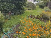 Parduodamas jaukus ir išskirtinis medinis - nuotraukos Nr. 41