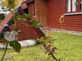 Parduodamas jaukus ir išskirtinis medinis - nuotraukos Nr. 43
