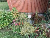 Parduodamas 12 Arų Sodo Sklypas Gamtos - nuotraukos Nr. 26