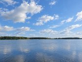 Ant Lazdininkų tvenkinio kranto, pušyno - nuotraukos Nr. 2
