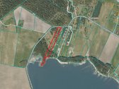 Ant Lazdininkų tvenkinio kranto, pušyno - nuotraukos Nr. 14