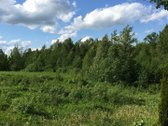 Parduodamas 55 arų sklypas gamtos apsuptyje, - nuotraukos Nr. 3
