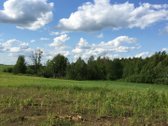 Parduodamas 55 arų sklypas gamtos apsuptyje, - nuotraukos Nr. 4