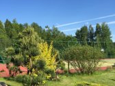 Parduodamas 55 arų sklypas gamtos apsuptyje, - nuotraukos Nr. 5