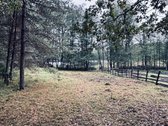 Parduodamas žemės ūkio paskirties sklypas - nuotraukos Nr. 2