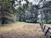 Parduodamas žemės ūkio paskirties sklypas - nuotraukos Nr. 3