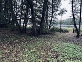 Parduodamas žemės ūkio paskirties sklypas - nuotraukos Nr. 4