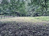 Parduodamas žemės ūkio paskirties sklypas - nuotraukos Nr. 5