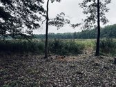 Parduodamas žemės ūkio paskirties sklypas - nuotraukos Nr. 6