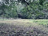 Parduodamas žemės ūkio paskirties sklypas - nuotraukos Nr. 7