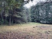 Parduodamas žemės ūkio paskirties sklypas - nuotraukos Nr. 8