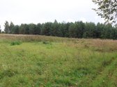 Sklypas ribojasi su tvenkiniu ir žvyro keliu. - nuotraukos Nr. 5