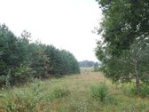 Sklypas ribojasi su tvenkiniu ir žvyro keliu. - nuotraukos Nr. 7