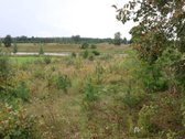 Sklypas ribojasi su tvenkiniu ir žvyro keliu. - nuotraukos Nr. 3