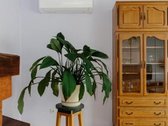 Išnuomojamas Jaukus Namas Gamtos Apsuptyje, - nuotraukos Nr. 14