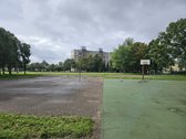 Nuo šių metų rugsėjo dvidešimt penktos dienos - nuotraukos Nr. 18