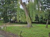 Nuo šių metų rugsėjo dvidešimt penktos dienos - nuotraukos Nr. 19