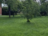 Parduodamas 150m2 namas Pravieniškese. Visos - nuotraukos Nr. 15