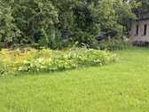 Parduodamas 150m2 namas Pravieniškese. Visos - nuotraukos Nr. 19