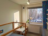 Mėgstate: - nuotraukos Nr. 26