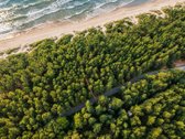 Parduodami Namų Valdos Sklypai Mončiškėse – - nuotraukos Nr. 5