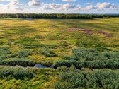 Parduodami Namų Valdos Sklypai Mončiškėse – - nuotraukos Nr. 13