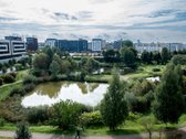 Parduodamas dviejų kambarių šviesus, jaukus - nuotraukos Nr. 3