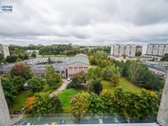 Pašilaičiuose, tikriausiai geriausioje šio - nuotraukos Nr. 4
