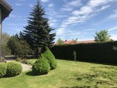 Parduodamas erdvus ir jaukus dviejų aukštų - nuotraukos Nr. 6