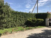 Parduodamas erdvus ir jaukus dviejų aukštų - nuotraukos Nr. 7