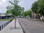 Panevėžio miesto centre nuomojamos biuro - nuotraukos Nr. 8