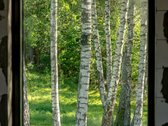 Gyventi Valakampiuose – tai mėgautis ramybe - nuotraukos Nr. 8