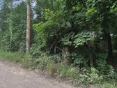 Parduodamas buvęs mėgėjų sodo žemės sklypas. - nuotraukos Nr. 4