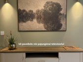 Pirmieji nuomininkai laukiami prie Neries - nuotraukos Nr. 13
