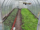 Parduodamas dviejų aukštų sodo namas (virtuvė - nuotraukos Nr. 4