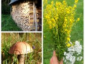 Išskirtinė Sodyba-vienamekis – Virš 7 Ha - nuotraukos Nr. 16