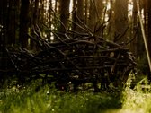 Naujiena rinkoje: reta galimybė įsigyti - nuotraukos Nr. 11