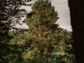 Naujiena rinkoje: reta galimybė įsigyti - nuotraukos Nr. 10