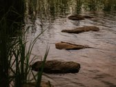Naujiena rinkoje: reta galimybė įsigyti - nuotraukos Nr. 16