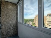 Parduodamas erdvus, ekonomiškas vieno - nuotraukos Nr. 7