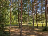 Parduodamas 39,65 a gyvenamosios paskirties - nuotraukos Nr. 12