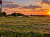Parduodamas 11,71 A Namų Valdos Sklypas - nuotraukos Nr. 5