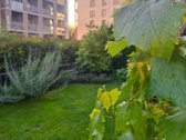 "Žvėryno Panoramos" projekte parduodame 3 - nuotraukos Nr. 21
