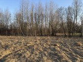 Parduodamas namų valdos sklypas Bruknių - nuotraukos Nr. 4