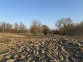 Parduodamas namų valdos sklypas Bruknių - nuotraukos Nr. 5