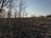Parduodamas namų valdos sklypas Bruknių - nuotraukos Nr. 6