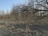 Parduodamas namų valdos sklypas Bruknių - nuotraukos Nr. 7